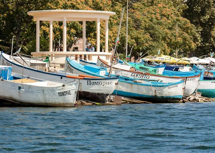 酒店 Saint George & Medical 帕莫瑞