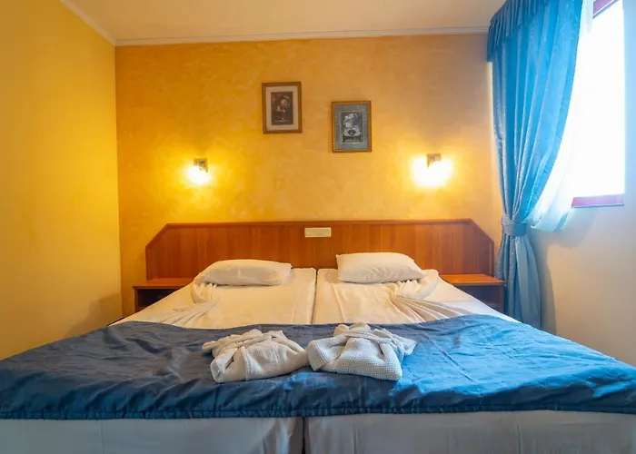 酒店 Saint George & Medical 4*