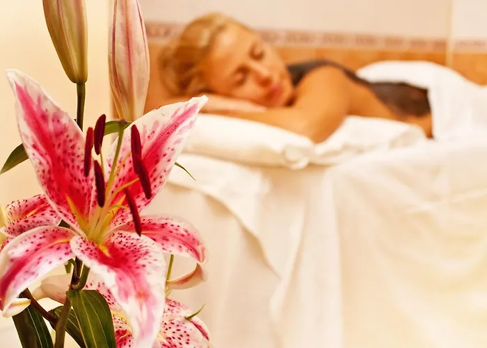 酒店 Saint George & Medical